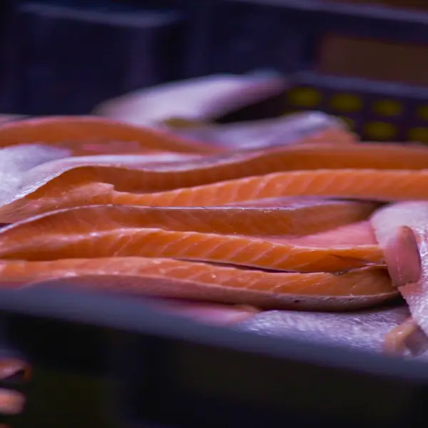 Trout Comes Out On Top When It Comes To Fish For Weight Loss