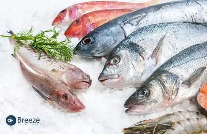 The Pakistan Fishing Industry