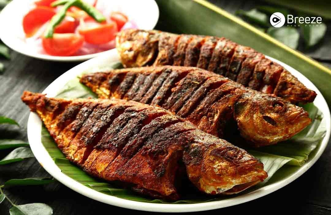 The 12 Best Tasting Fish You Can Buy And Cook