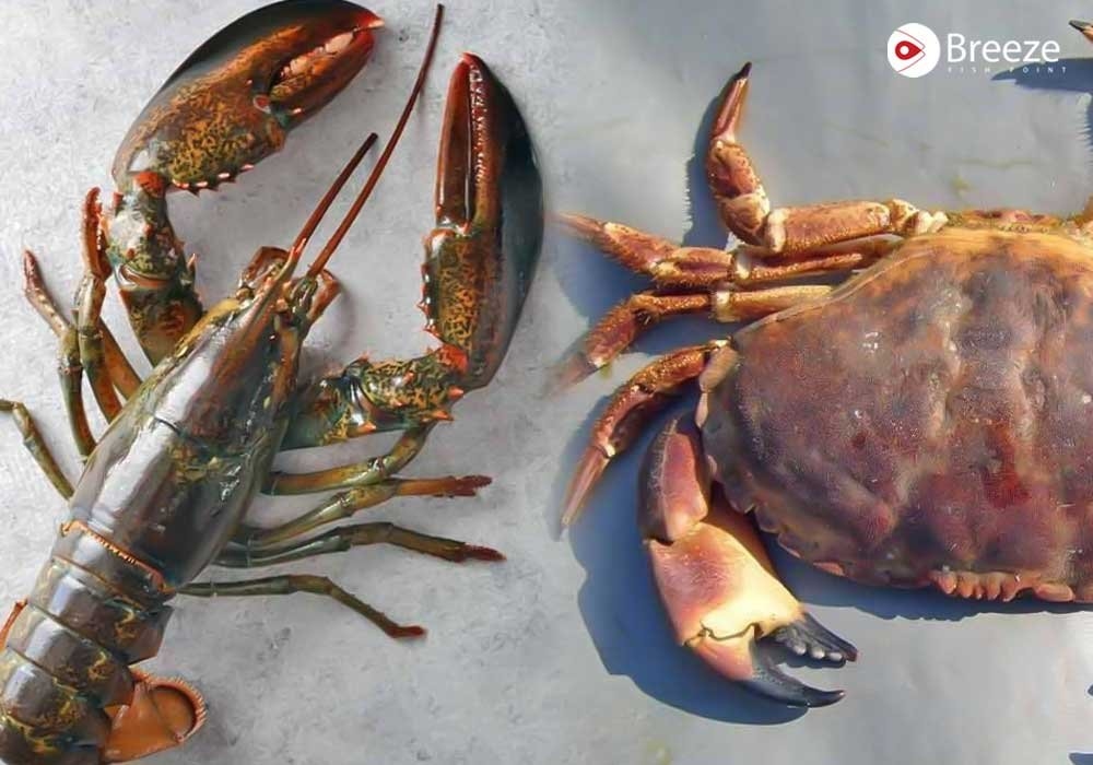 Is Seafood Like Lobster &amp; Crab Halal or Haram in Islam? Scholarly Views Explained