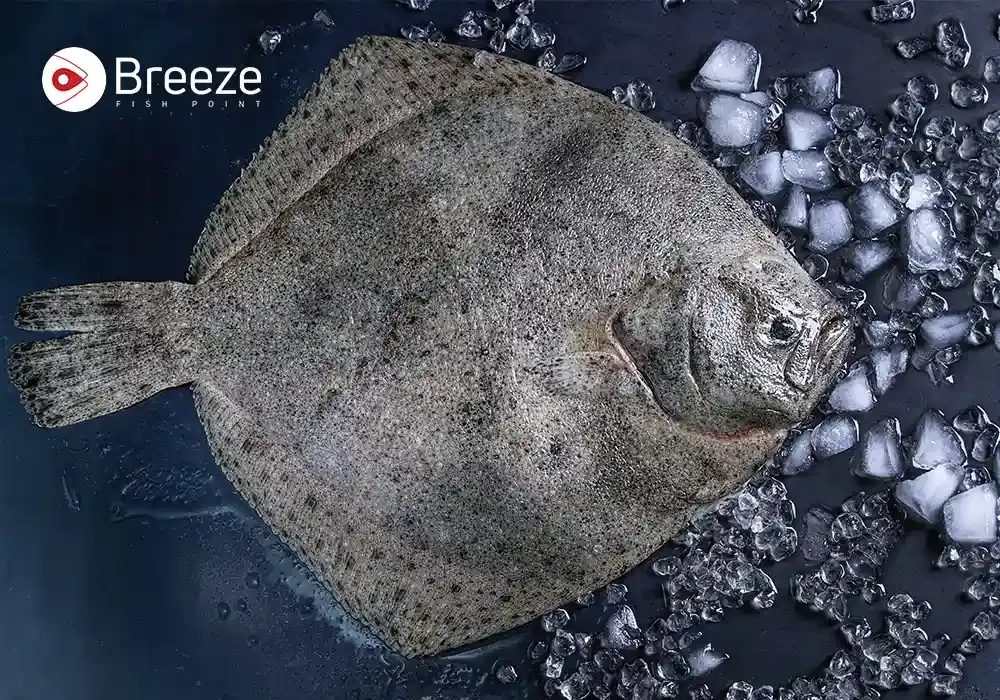 Flounder Fish: A Fascinating Dive into Recipes, Facts, and Fishing Tips