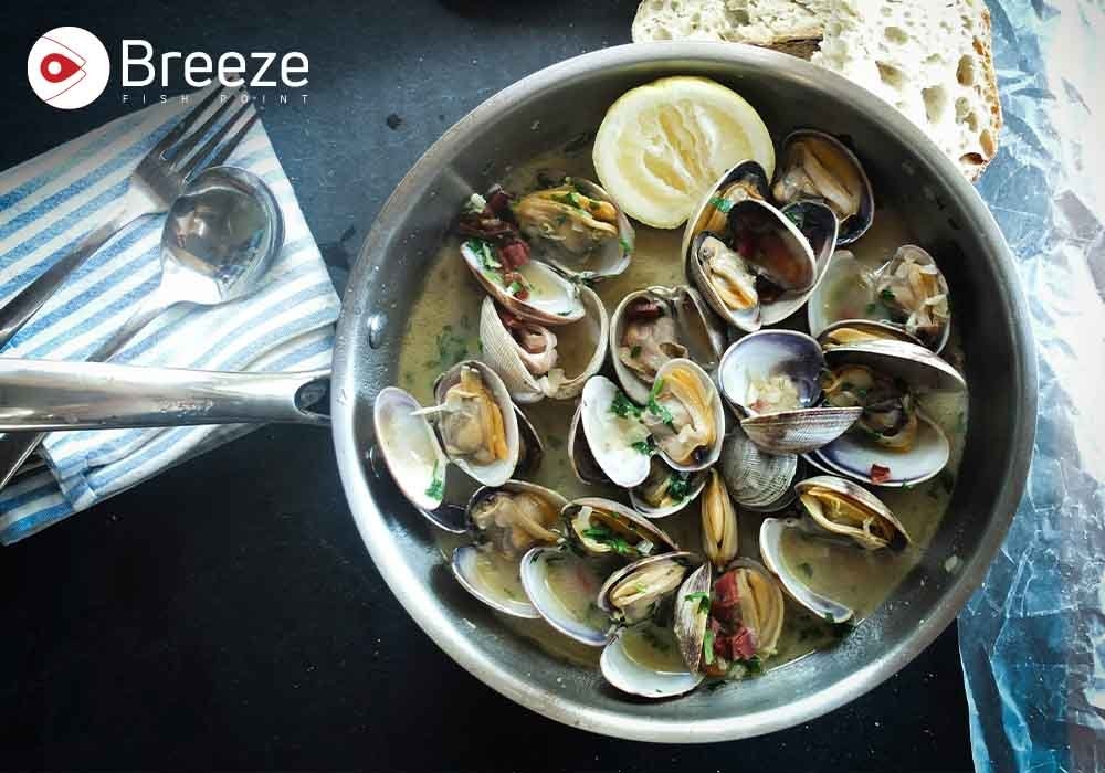 Why Are Clams the Ocean’s Hidden Gems?