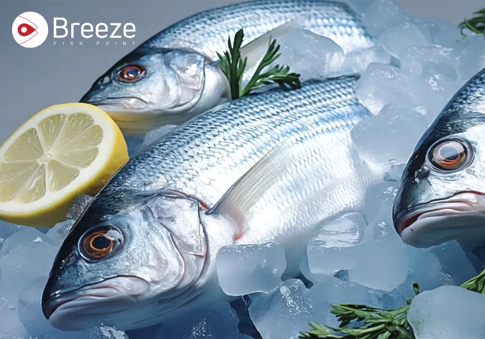 How to Pick the Best Fresh Fish and Frozen Fish for Your Meals
