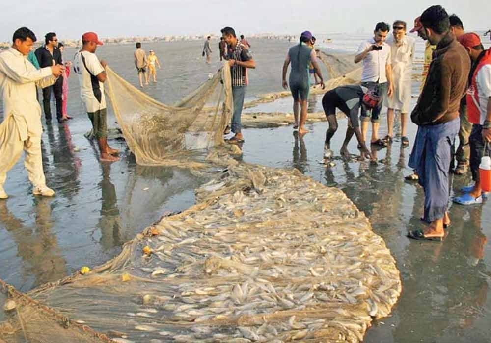 Hooked on Adventure: Discover the Ultimate Fishing Point