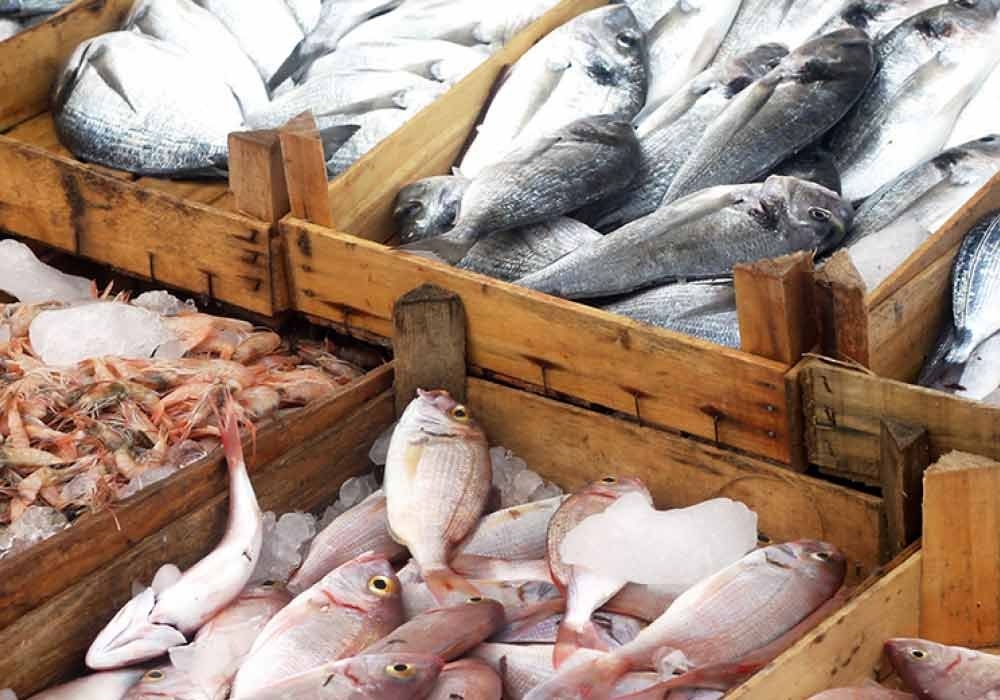 Pakistan National Fish: Mahseer Fish