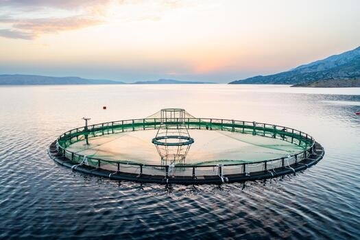 Aquaculture Farming: Fish Species, Systems, and Basic Practices