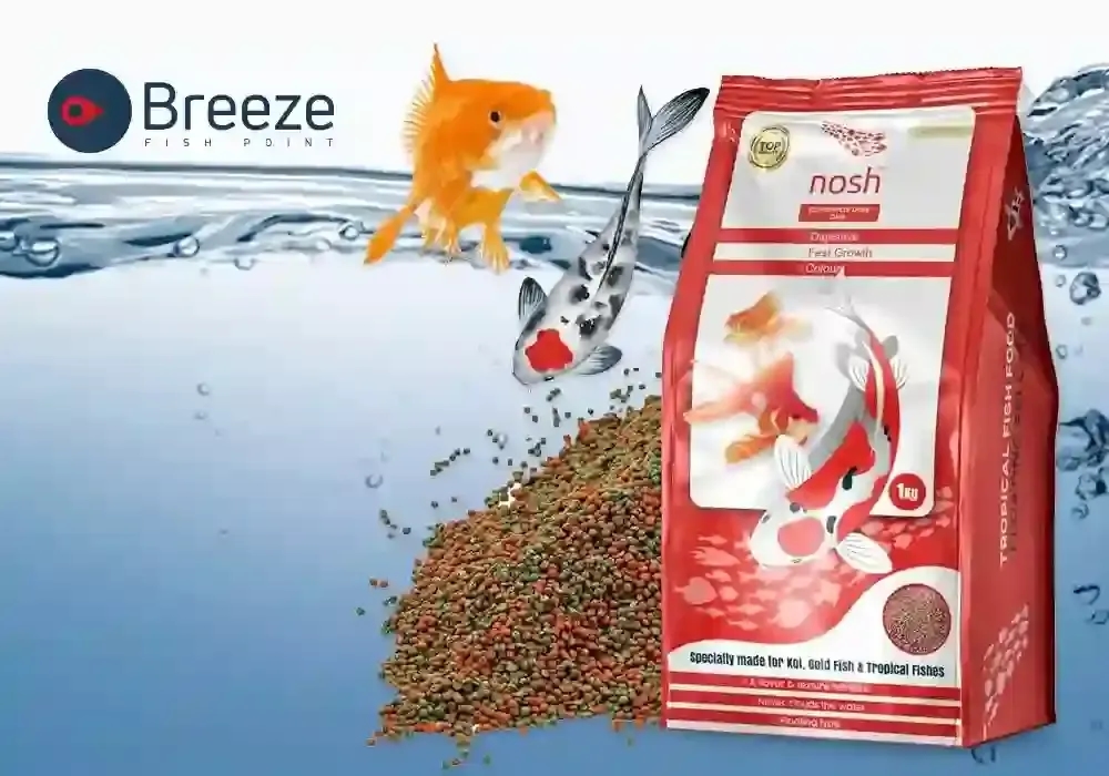 What Kinds of Food Do Fish Like to Eat?