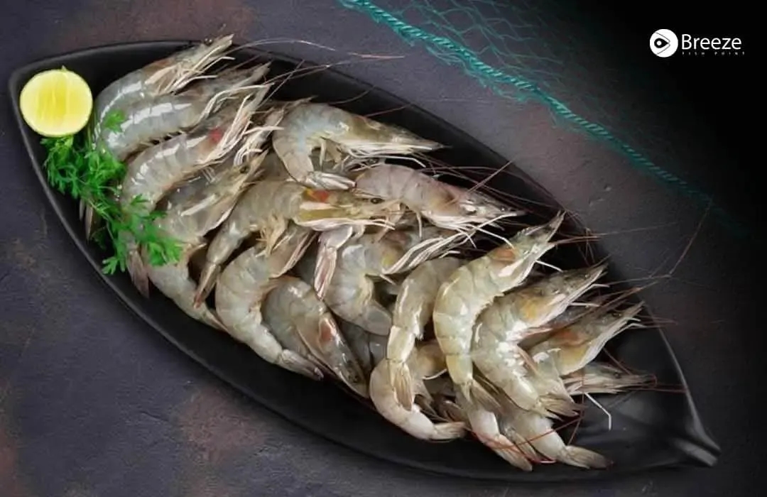 16 Types of Prawns and Their Complete Varieties