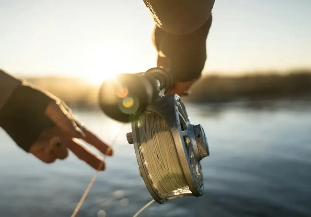 Fisheries Management Degree Salary_ What To Expect By Role & Experience