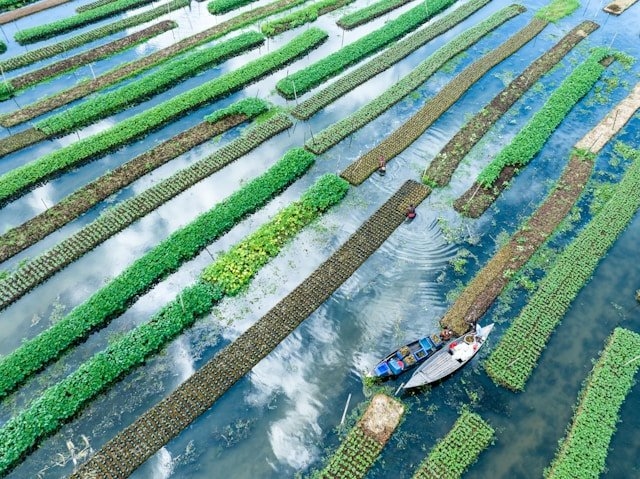 How to Start an Aquaculture Farming Business: A Realistic Guide for Beginners