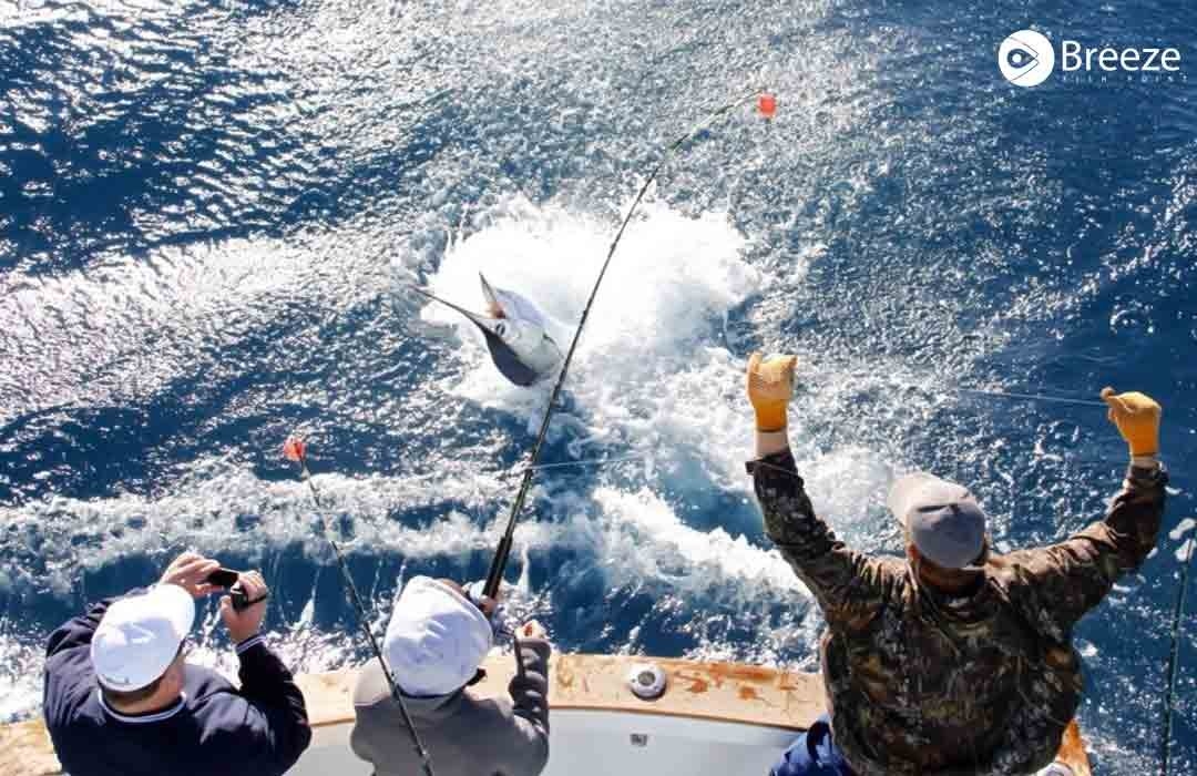 Happy Fishing In Every Catch: The Joy Of Fishing And Eating Fresh Fish