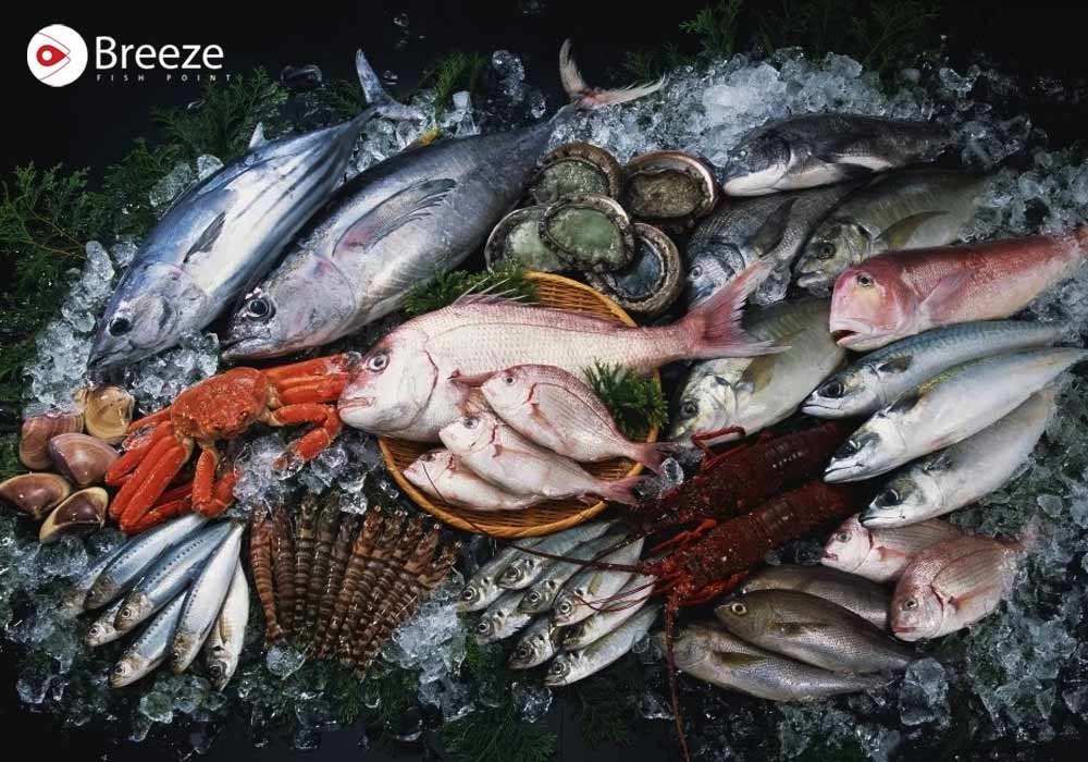 Fish Types in Pakistan: A Dive into Diversity and Importance