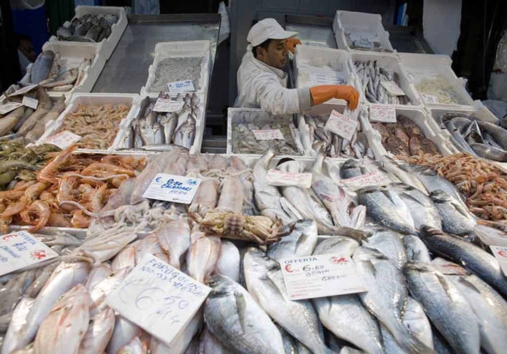 The Economic Importance Of Fish Is A Vital Component Of Pakistan