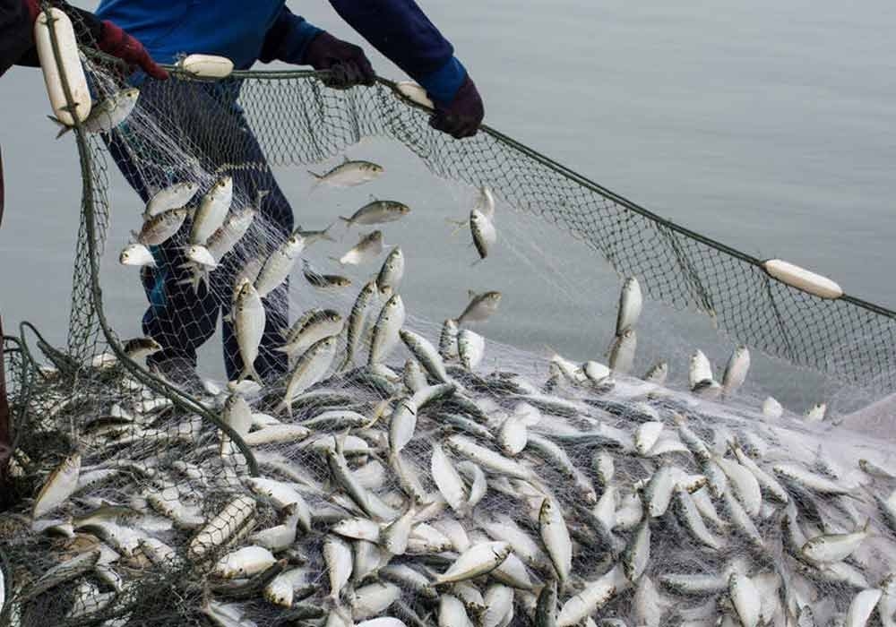 What Are The Methods Of Fishing In Pakistan?