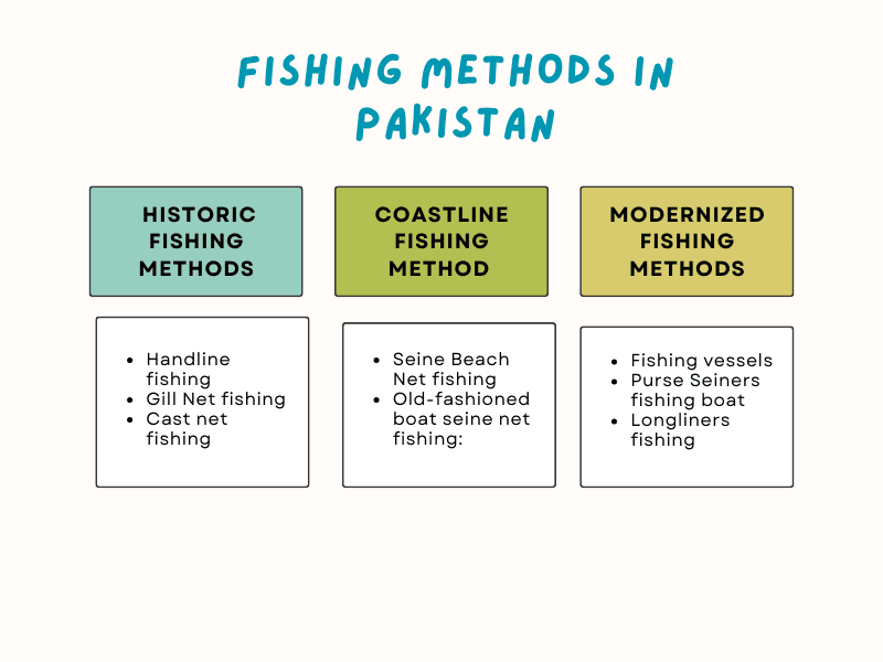 WHAT ARE THE METHODS OF FISHING IN PAKISTAN? - breeze fish point