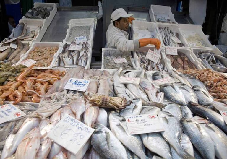 ECONOMIC IMPORTANCE OF FISH