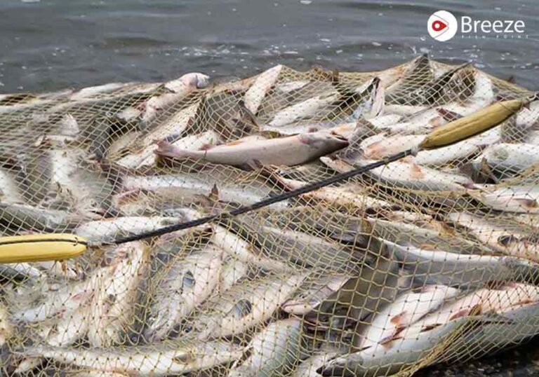 Fishing In Pakistan