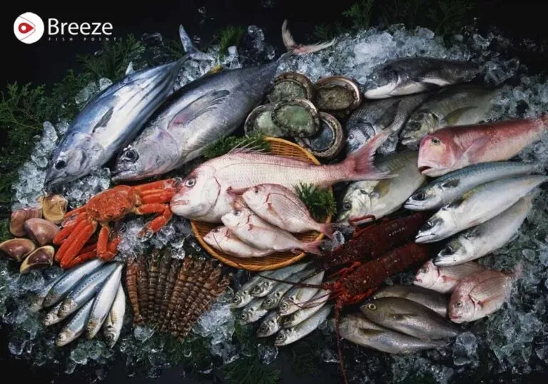 Fish Types in Pakistan - Breeze Fish Point