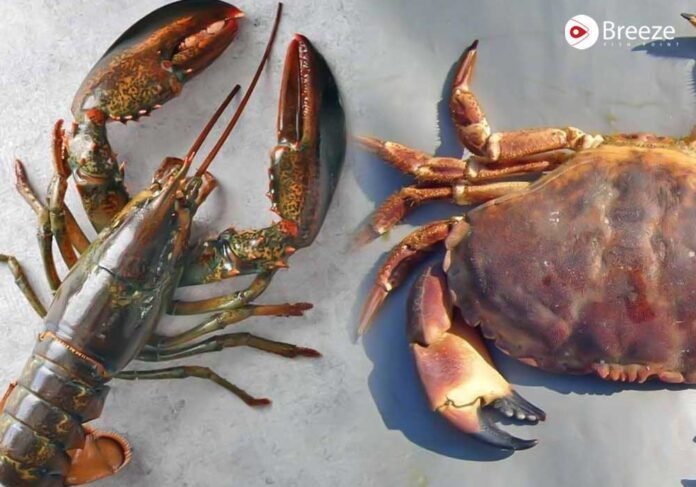 lobster & crab Halal or Haram