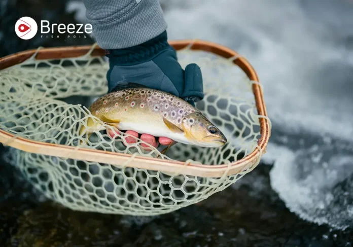 Best Tasting Freshwater Fish