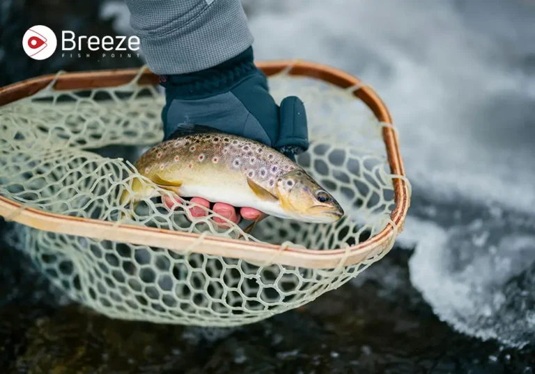 Best Tasting Freshwater Fish