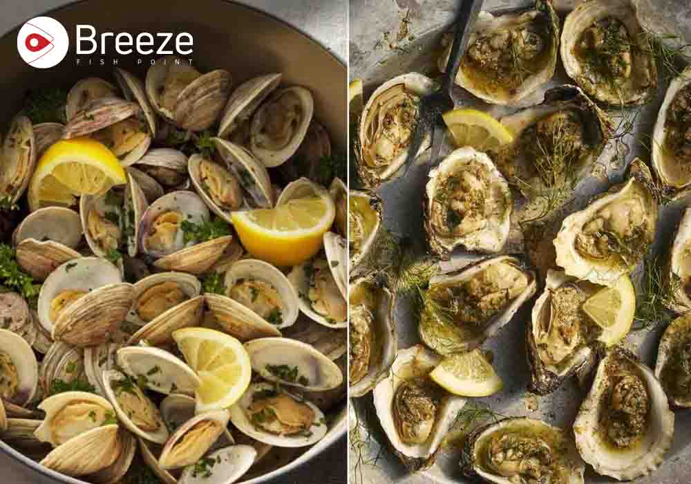 Clam Mushrooms
