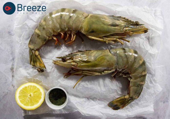 Chatpate Jhinga Fish - Breeze Fish Point