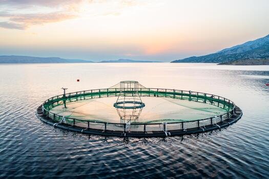 Aquaculture Farming: Fish Species, Systems, and Basic Practices